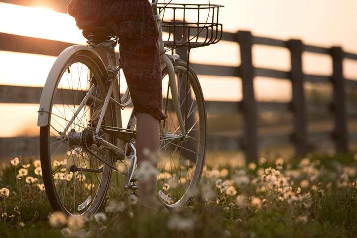 wandelen-fietsen-pingerhoeve